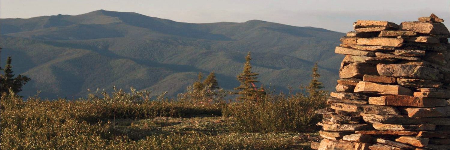 StakeholderGold banner