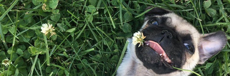 alyydebakerr's profile banner image