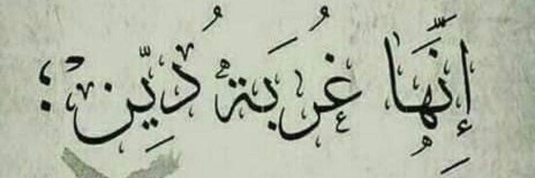 syed4evaa's profile banner image