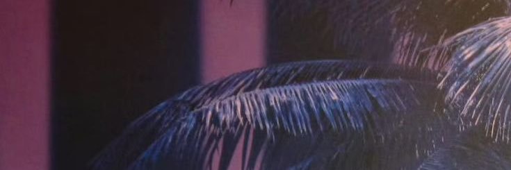 C, Xiao. banner