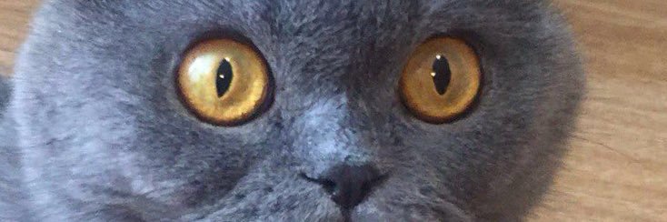 iswowk's profile banner image