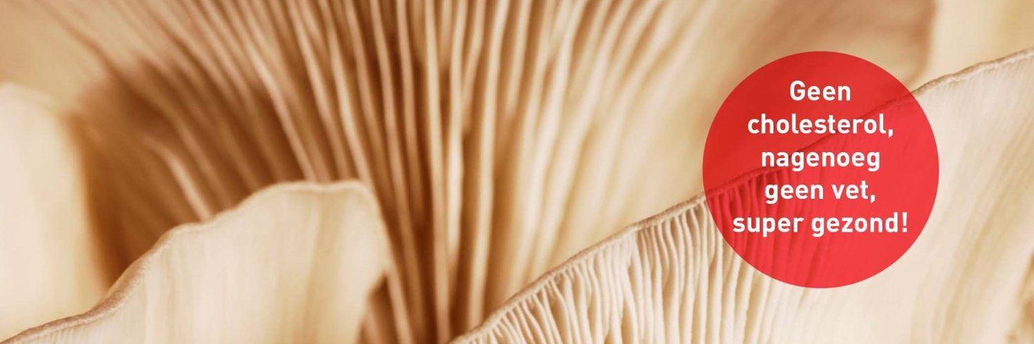 Oesterzwammen's profile banner image