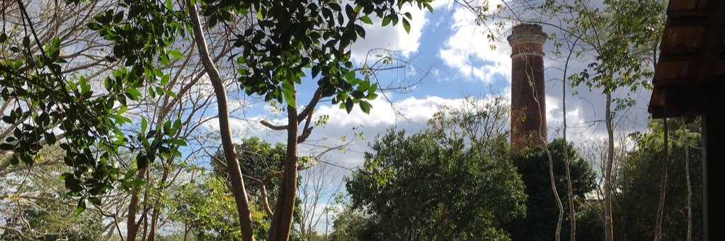 Paco V banner