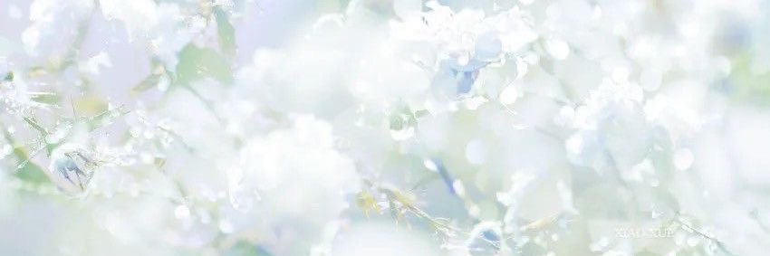 jyaninyan's profile banner image