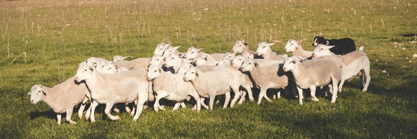 CapraFoods Profile Banner