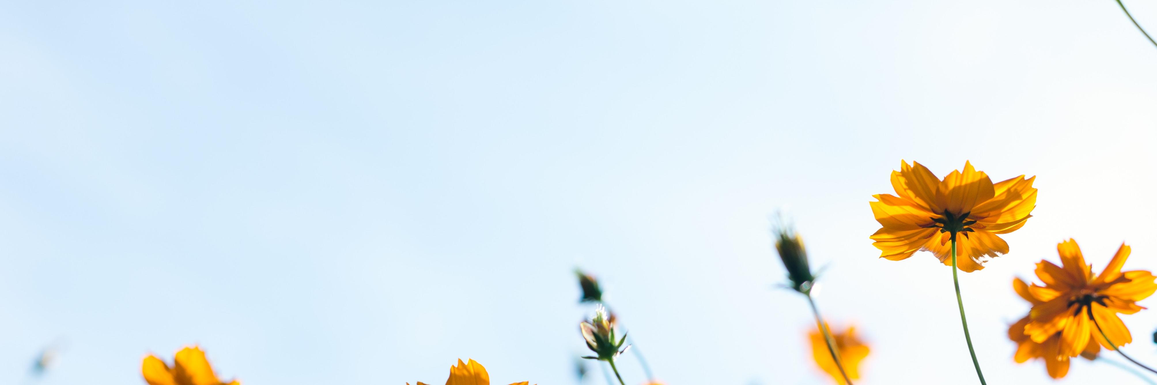 Open Road Media banner