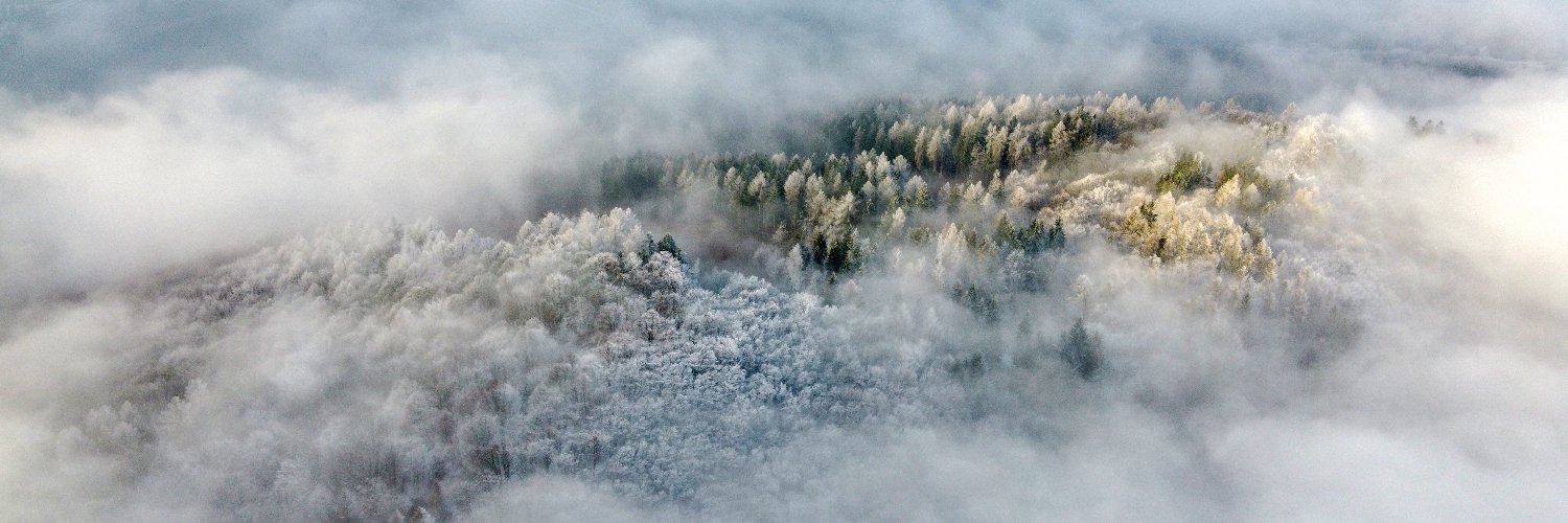 PEFC International banner