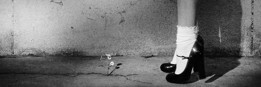 _tearsoflight's profile banner image