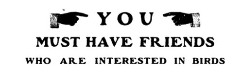 Robert Francis's banner