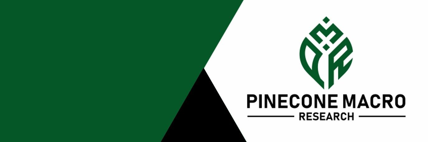 𝐏𝐢𝐧𝐞𝐜𝐨𝐧𝐞 𝐌𝐚𝐜𝐫𝐨's banner