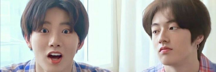 V_V banner