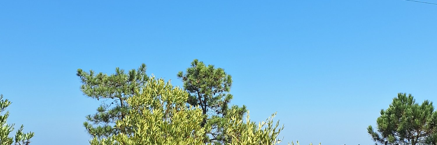 negadobafao's profile banner image