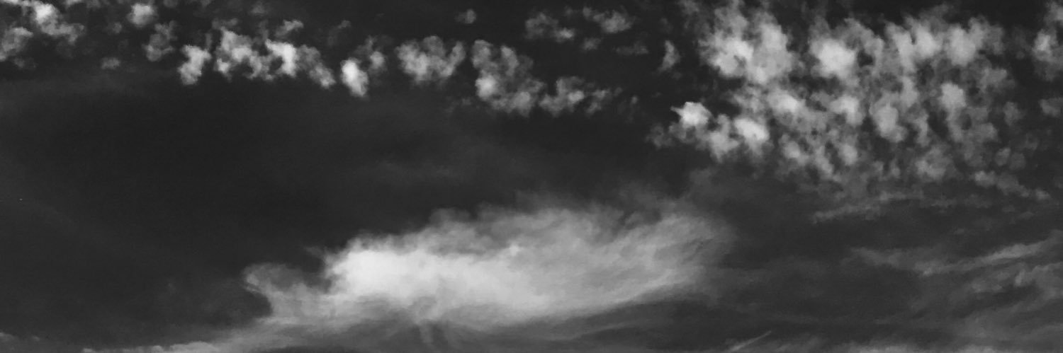 bucksvizzy 🍉 banner