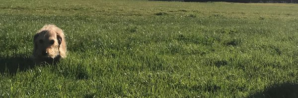 TheKillaTapes Profile Banner