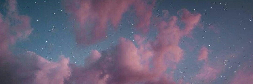 wizbirdbee's profile banner image