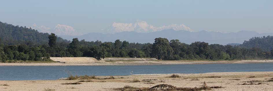 Forest Bihar banner