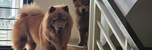 SimouneGO Profile Banner