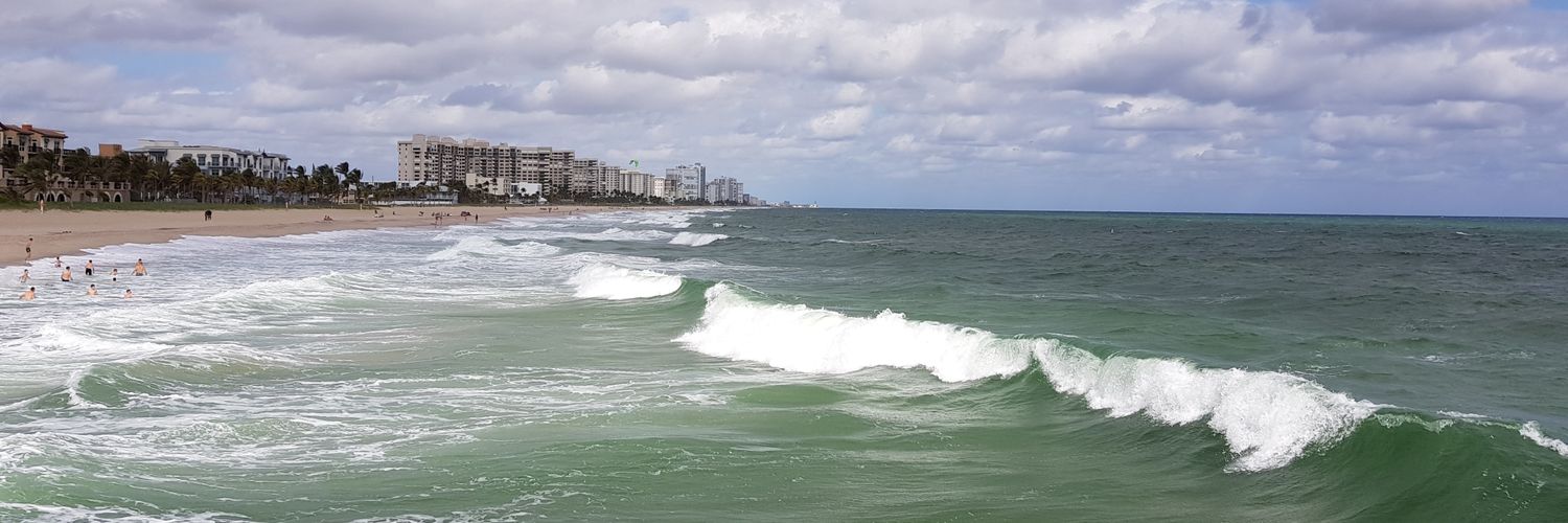 nina_rlopes's profile banner image