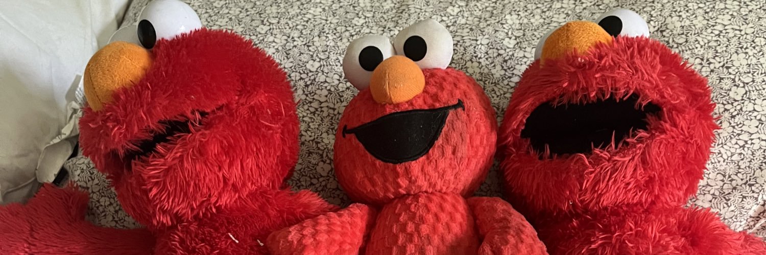 Daniel F. Wells banner