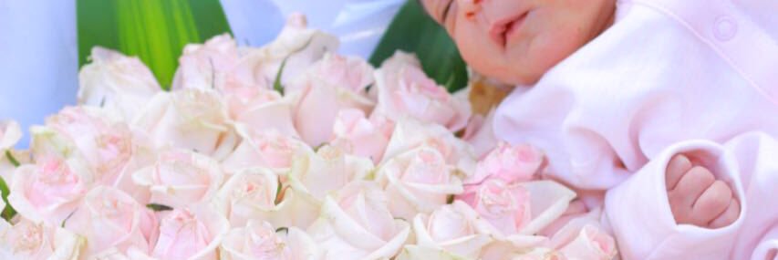 tofy3li's profile banner image