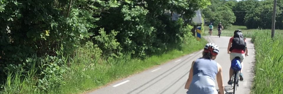 Karin Ryberg banner