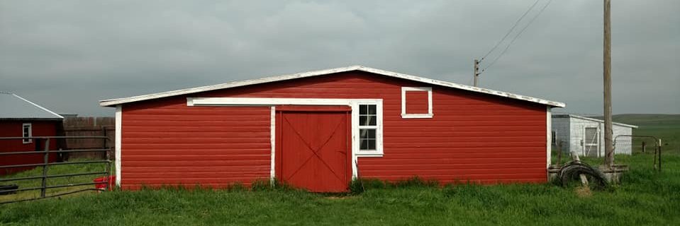 Titus Stenberg banner