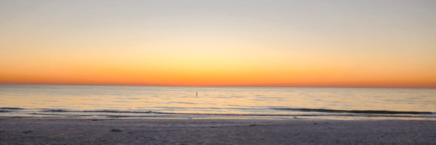 Mathais Carly banner