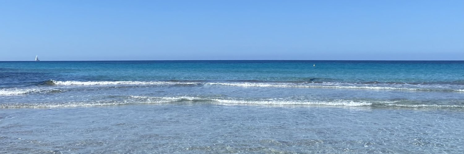 B* banner