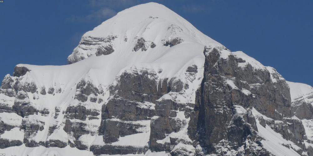 ellenlesleyt's profile banner image