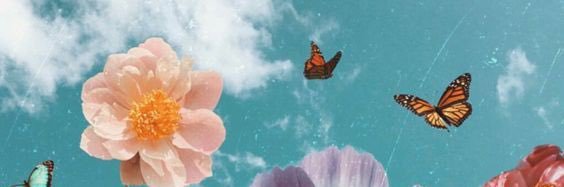bee_bebo's profile banner image