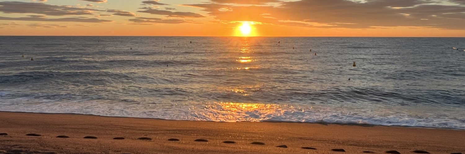 tara_noss's profile banner image