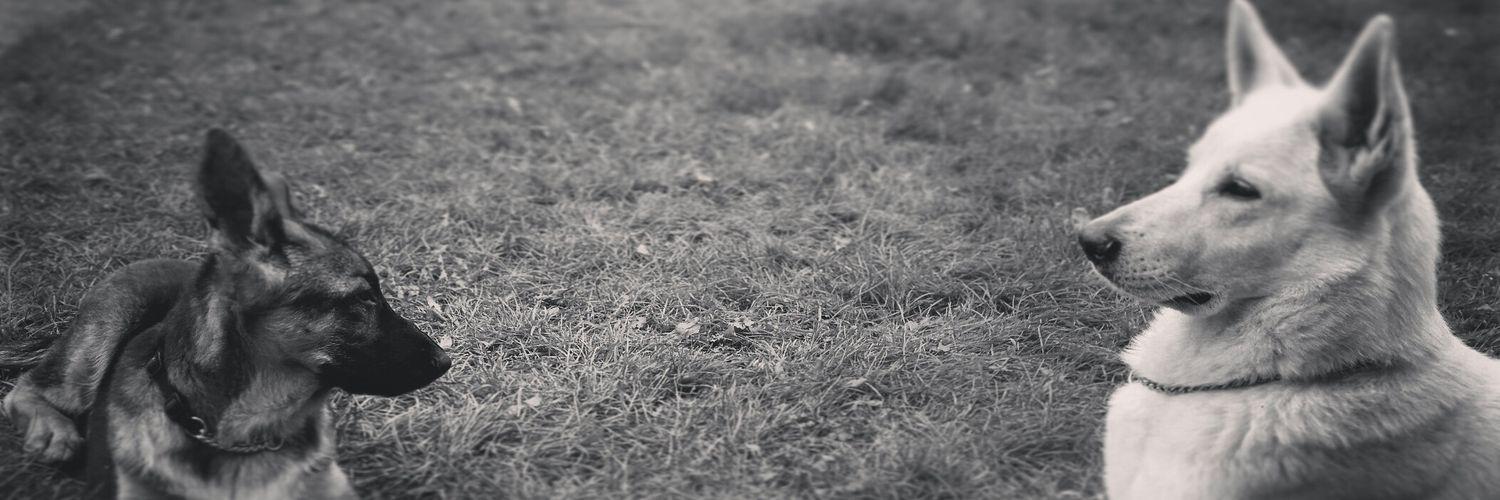 ktrezins's profile banner image