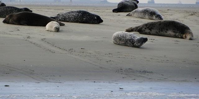 MarcoZeeland's profile banner image