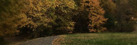 TheEmmaXavier's profile banner image