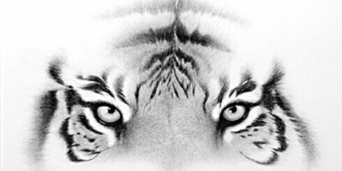 HeyEnrique's profile banner image