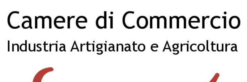 CamCom Basilicata banner