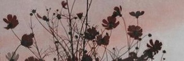 hazelsinclair_ Profile Banner