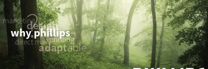 phillipsinterns's profile banner image