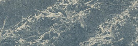 Michael Lightborne banner