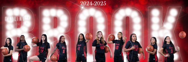 CBHSLadyBBall Profile Banner