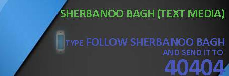 SherBanooBagh's profile banner image