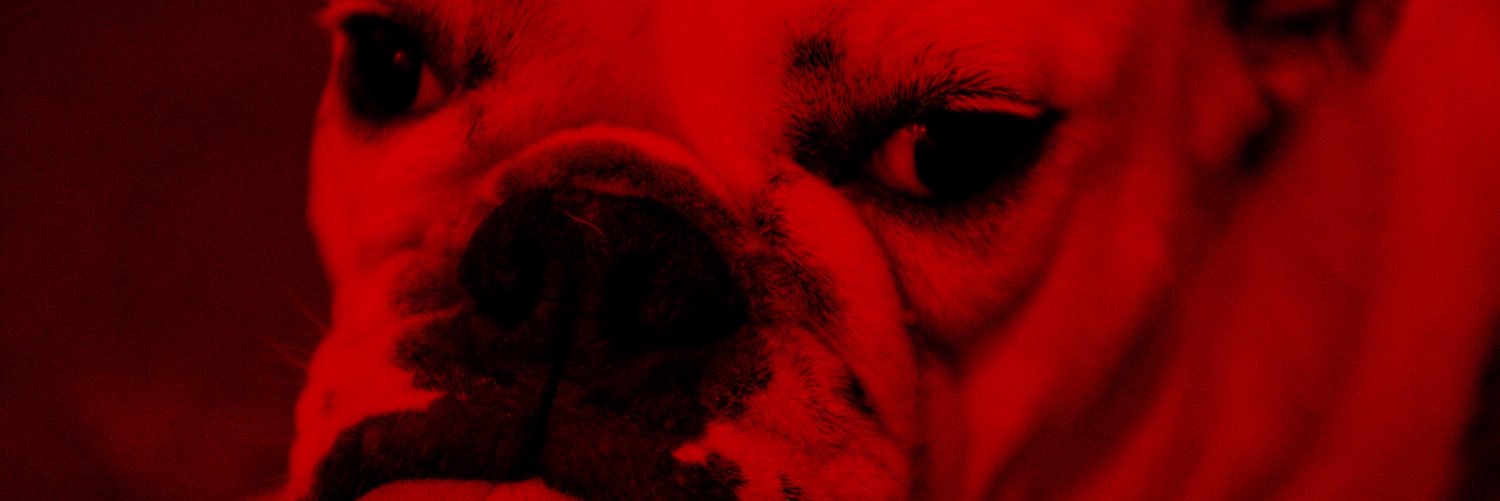 stormsantos's profile banner image