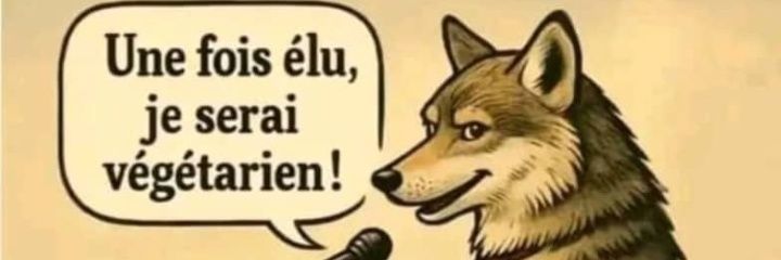 patmathe's profile banner image