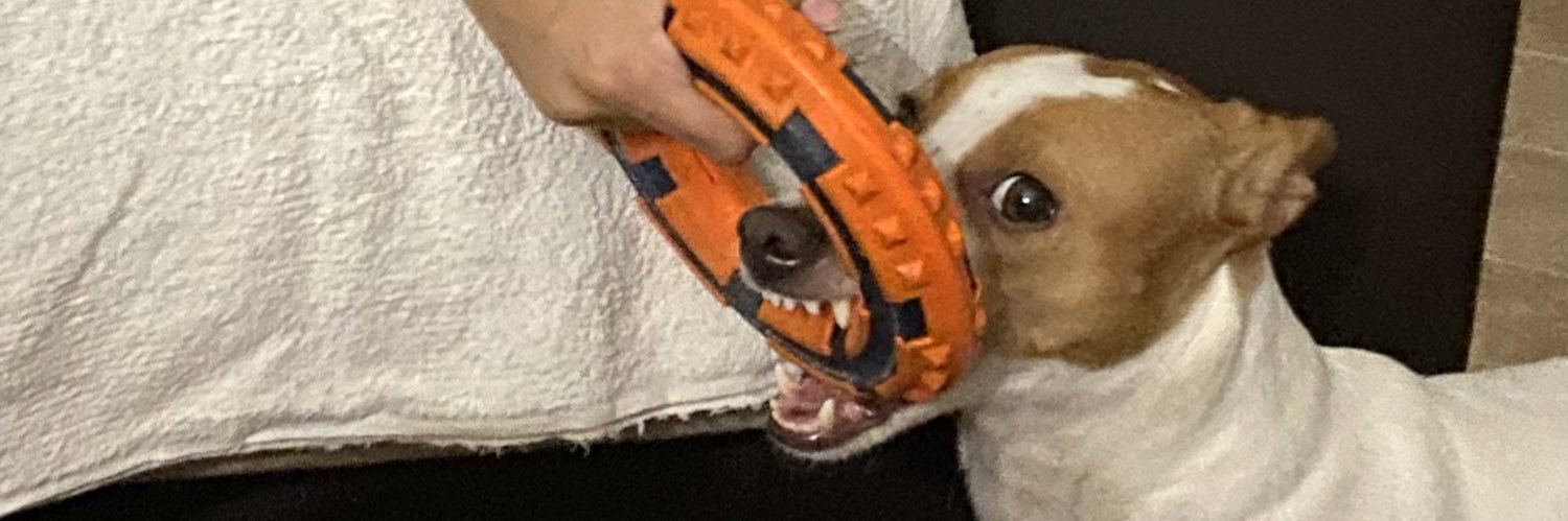 httppedr00's profile banner image
