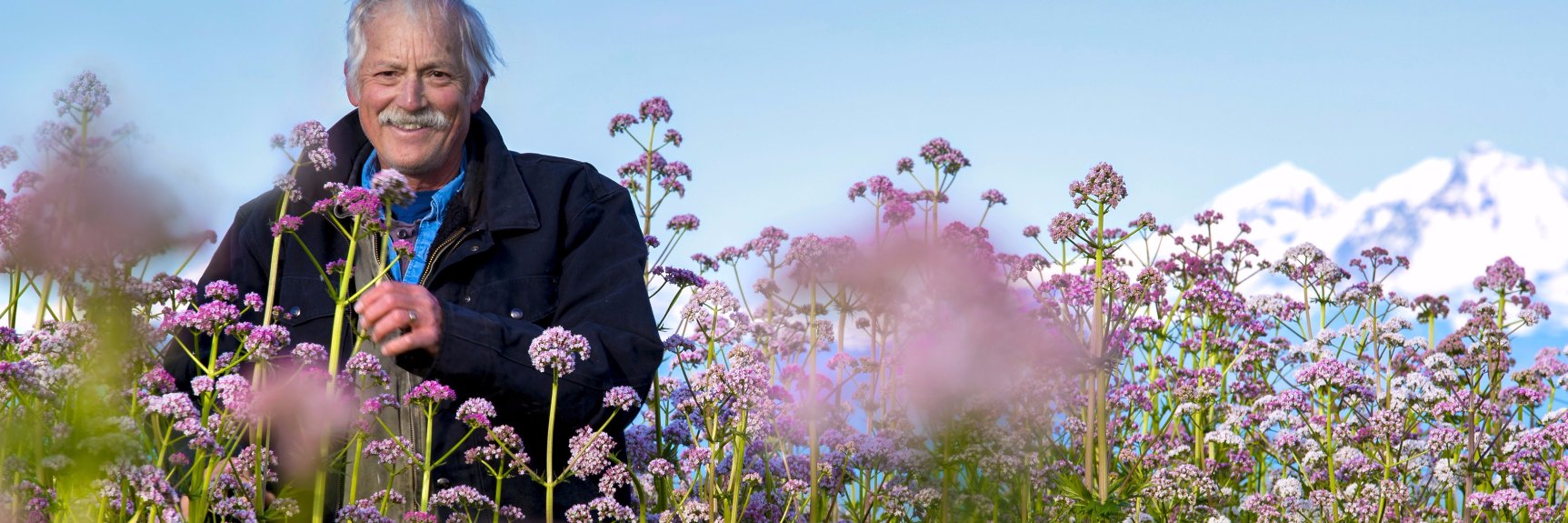 owharvest's profile banner image