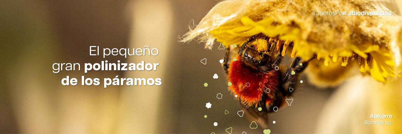 inst_humboldt's profile banner image