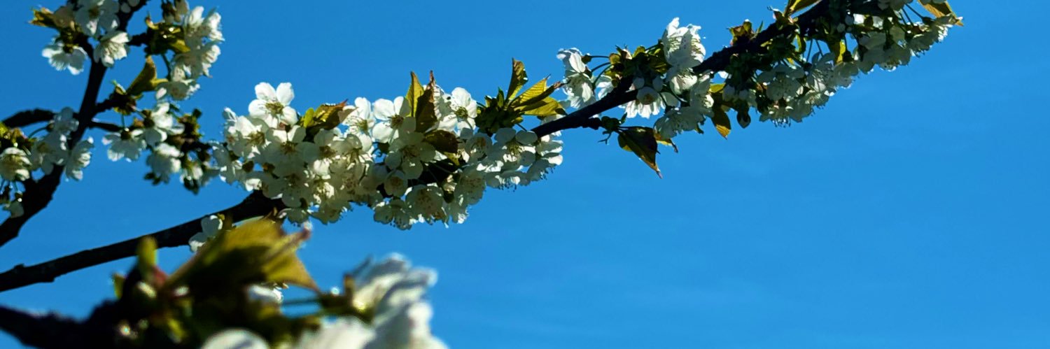 _Sofiaaaane's profile banner image