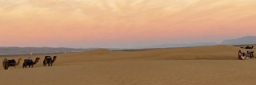 🇵🇸 banner