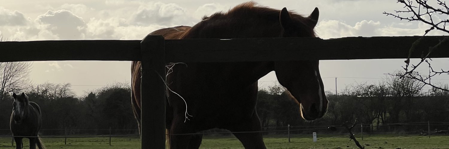 Bandar Almutreqa banner