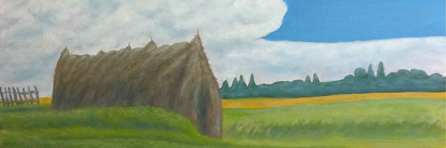 nvpushnova5's profile banner image